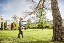 Pest Control for Lawns in Germantown Hills, IL